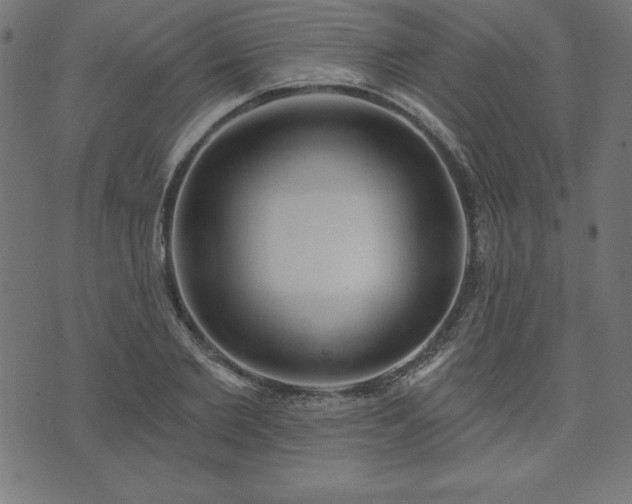 X0000073870885200608171005