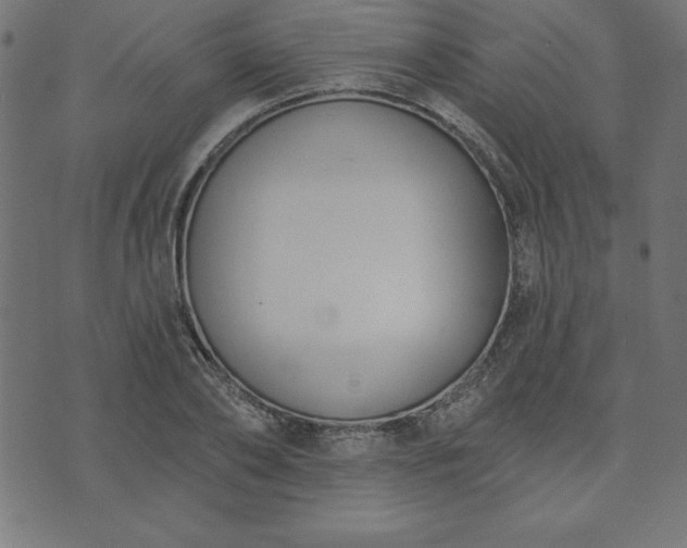 X0000073870886200608171005