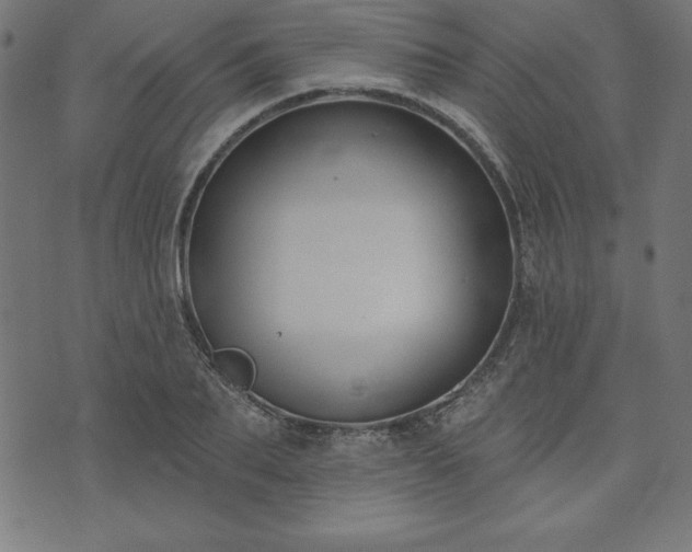 X0000073870887200608171004