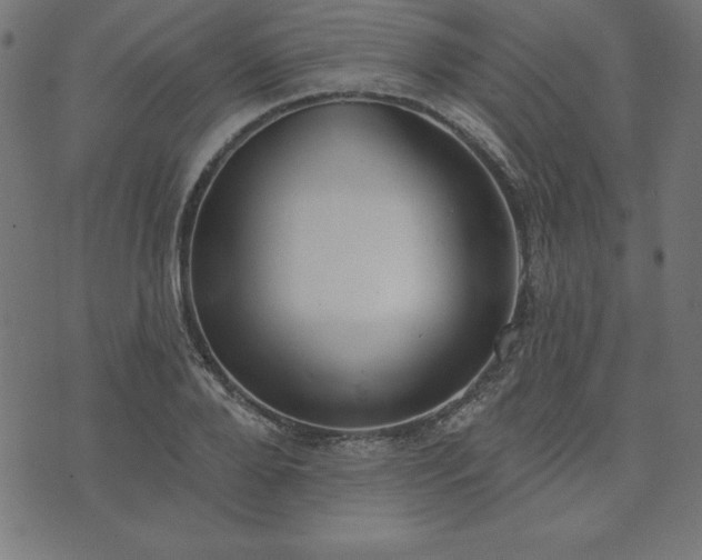 X0000073870888200608171004