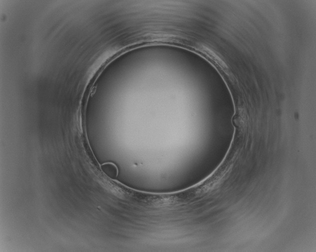 X0000073870891200608171004