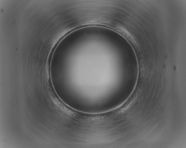 X0000073870892200608171004