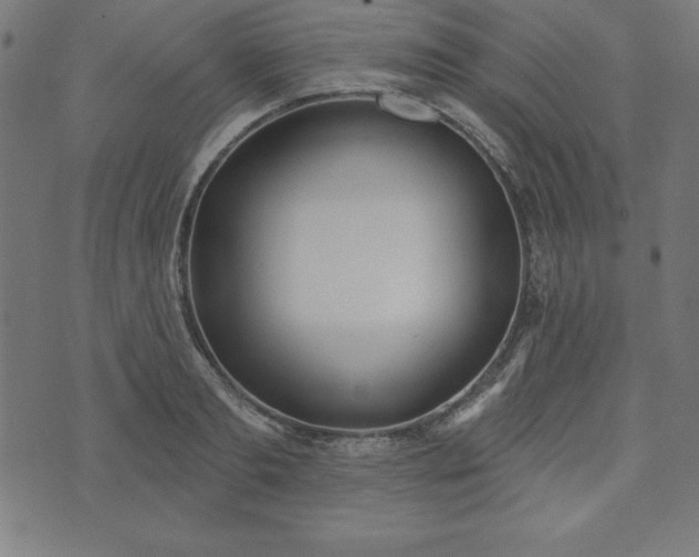 X0000073870893200608171004