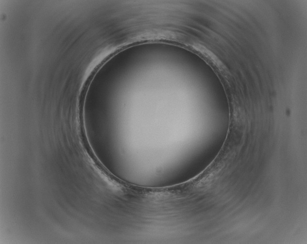 X0000073870894200608171004