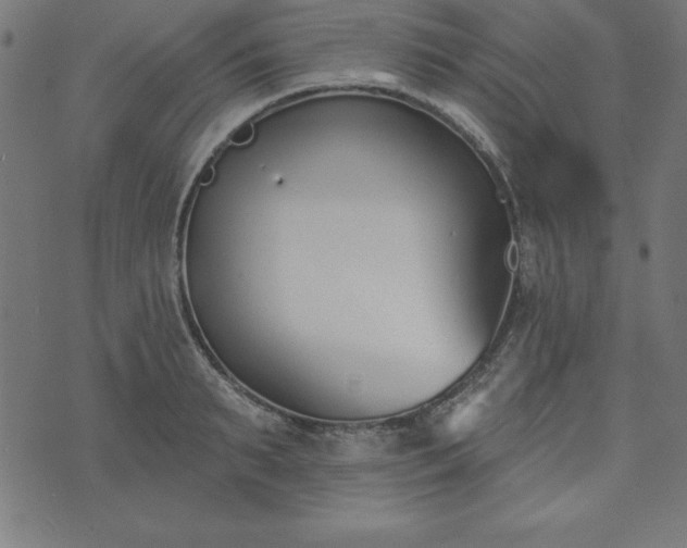 X0000073870895200608171004