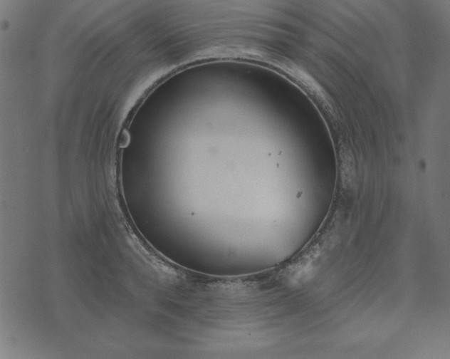 X0000073870896200608171004