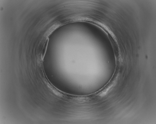 X0000073870897200608171004