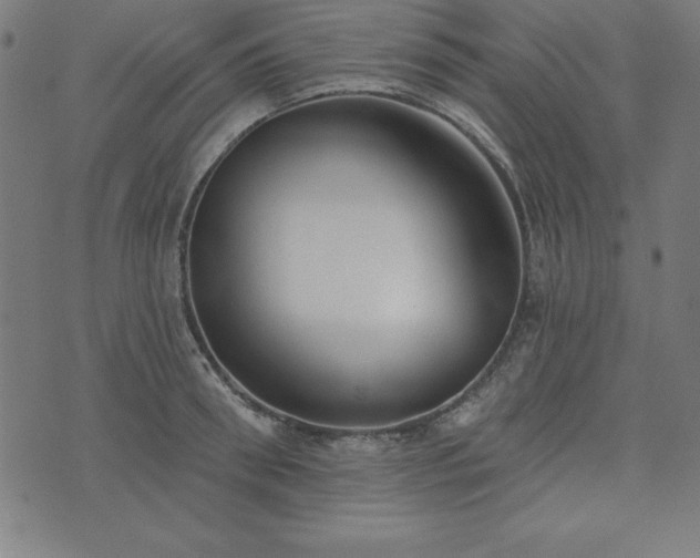 X0000073870898200608171004