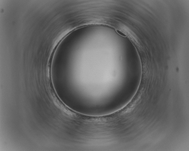 X0000073870900200608171004