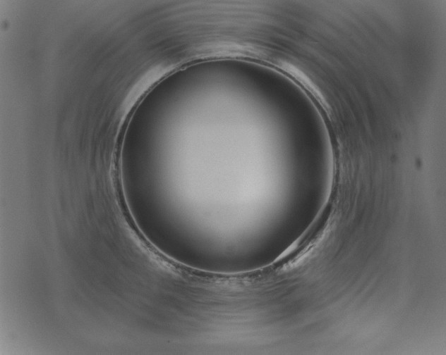 X0000073870901200608171004