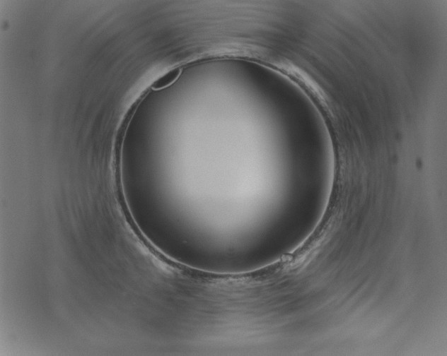 X0000073870902200608171004