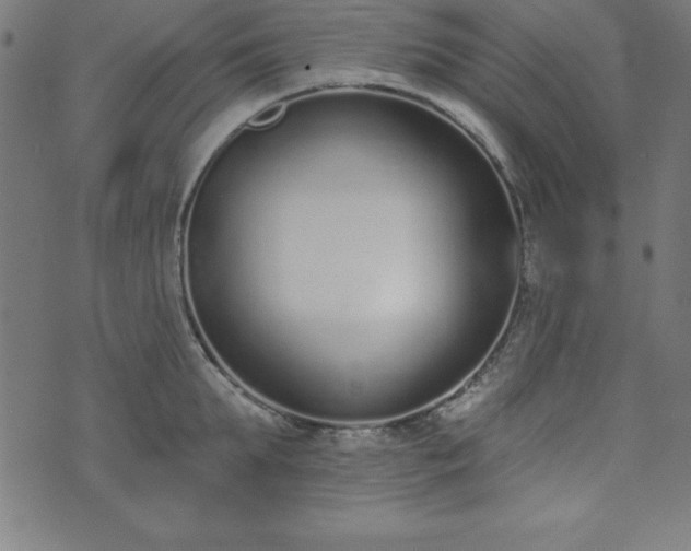 X0000073870903200608171004