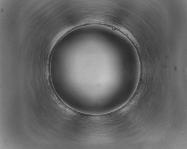 X0000073870904200608171004