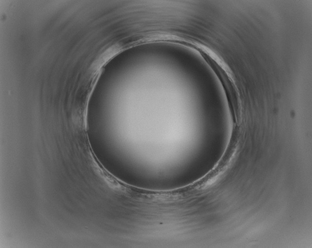 X0000073870905200608171004