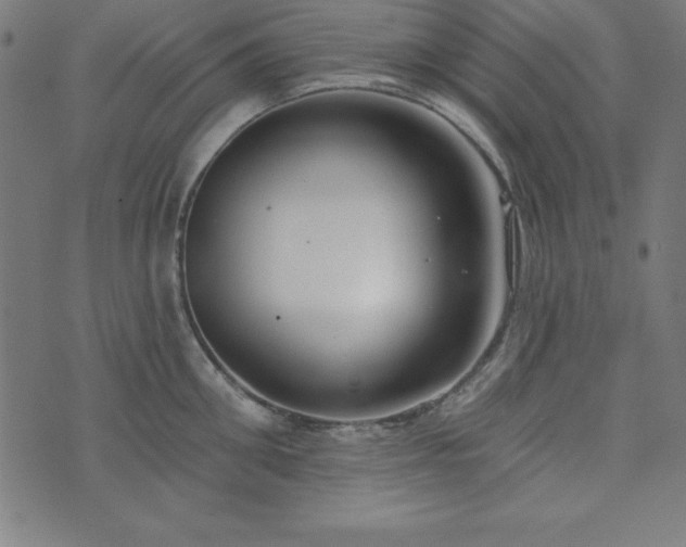 X0000073870906200608171004