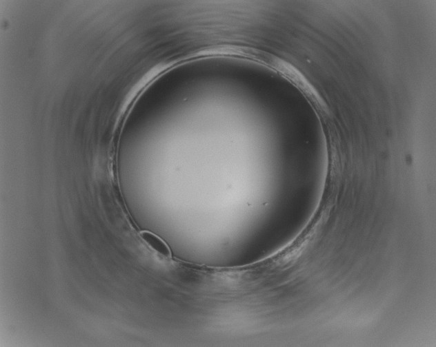 X0000073870908200608171004