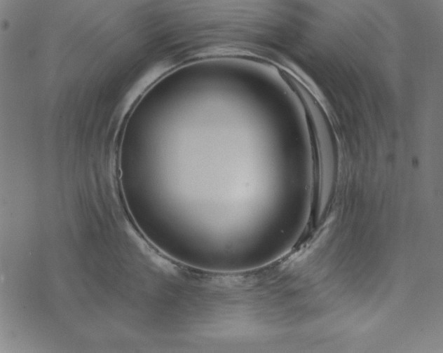 X0000073870909200608171004