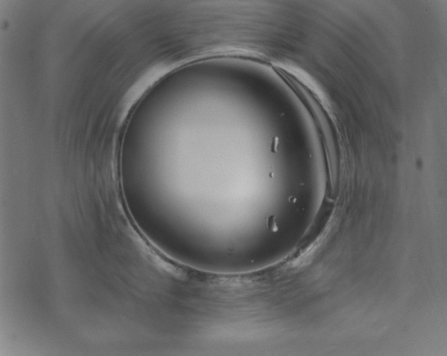 X0000073870910200608171004