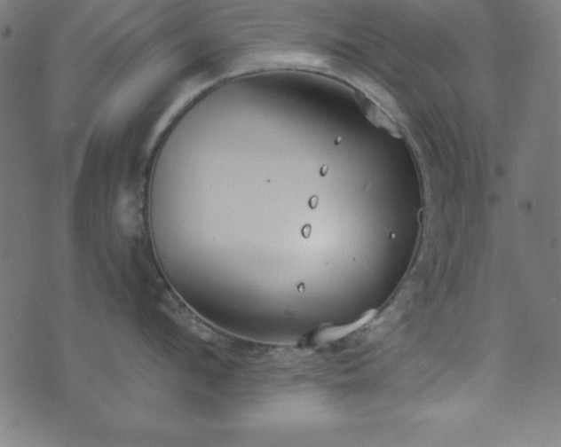 X0000073870912200608171004