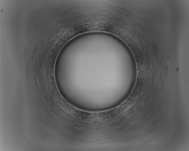 X0000073870913200608171003