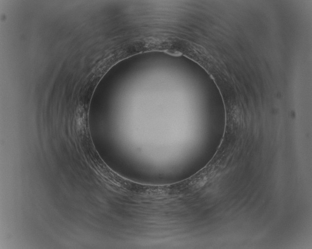 X0000073870914200608171003