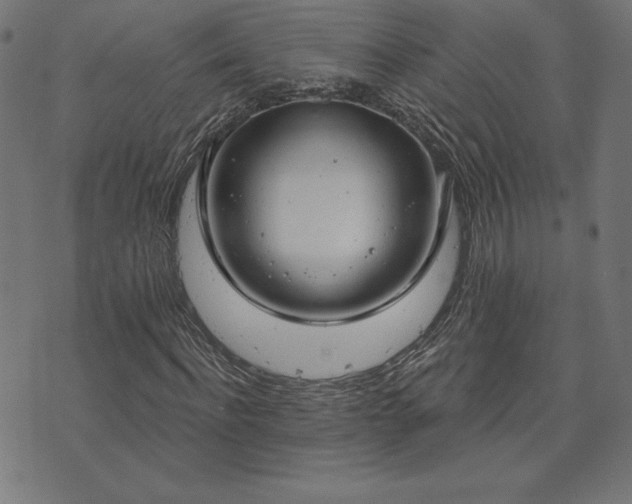 X0000073870916200608171003