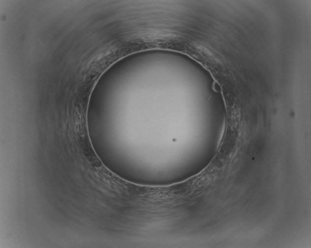 X0000073870917200608171003