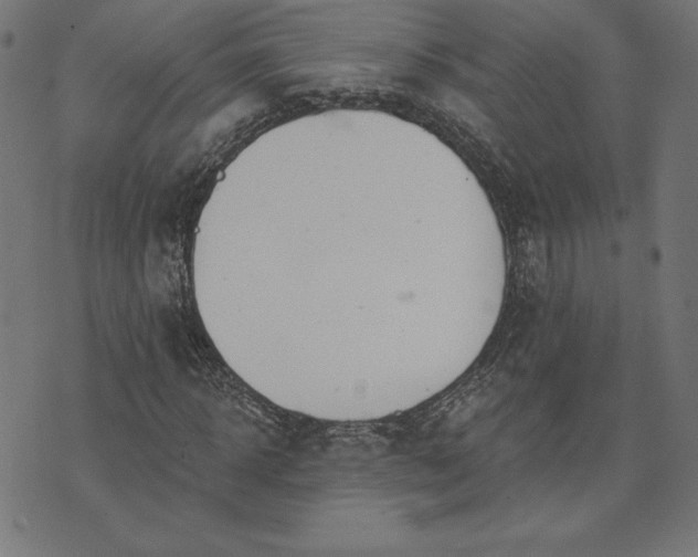 X0000073870918200608171003