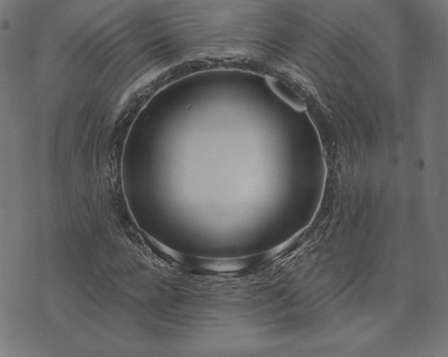 X0000073870920200608171003