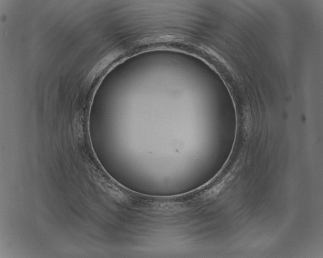 X0000073870921200608171003