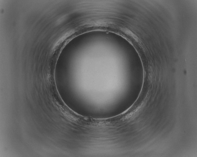 X0000073870922200608171003