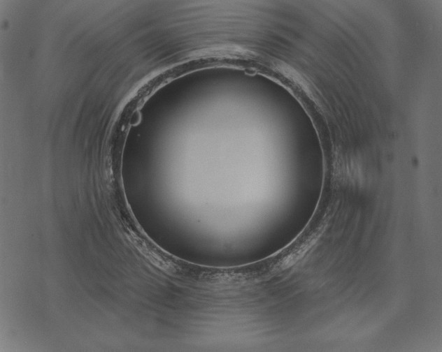 X0000073870923200608171003