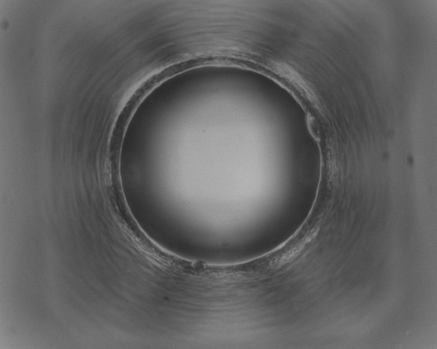 X0000073870924200608171003