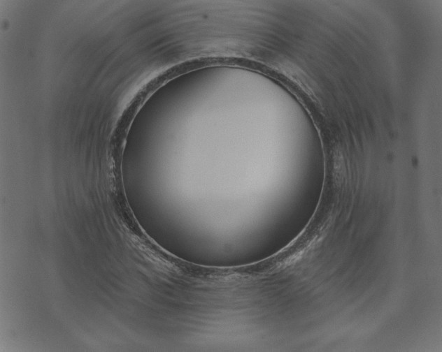 X0000073870926200608171004