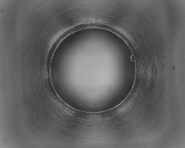 X0000073870927200608171004