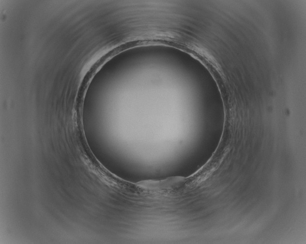 X0000073870928200608171004