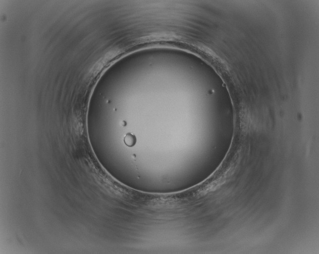 X0000073870929200608171004