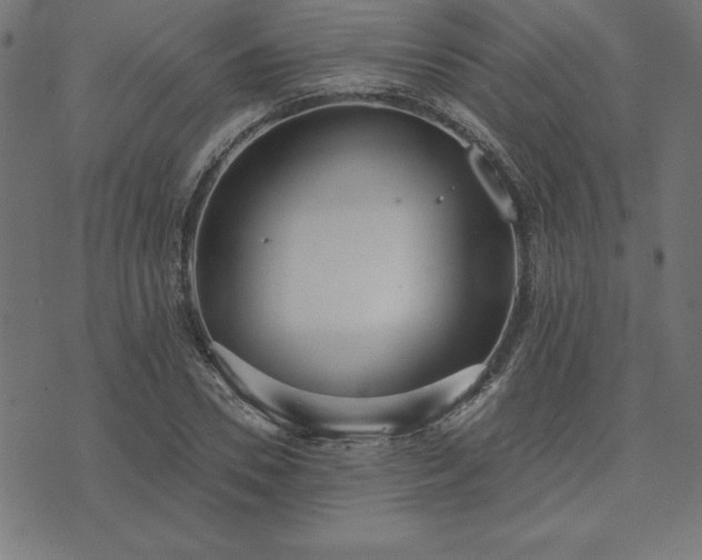 X0000073870930200608171004