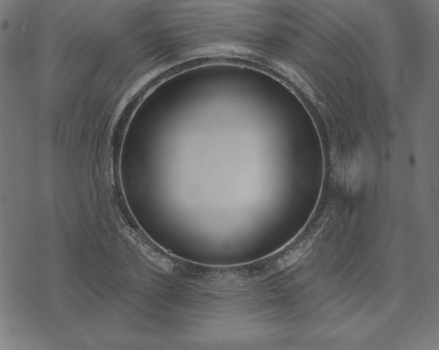 X0000073870931200608171004