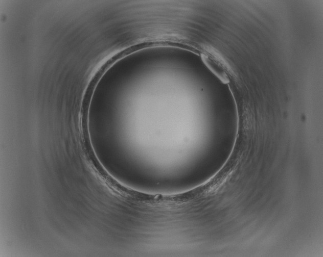 X0000073870932200608171004