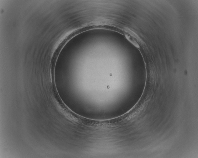 X0000073870934200608171004