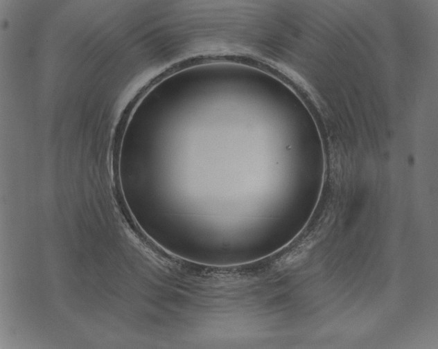 X0000073870935200608171004