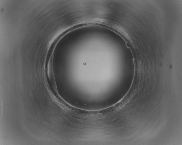 X0000073870936200608171004