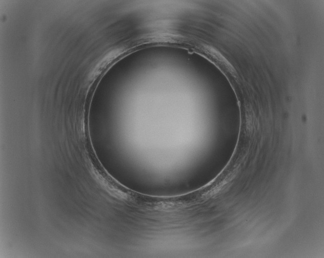 X0000073870938200608171004