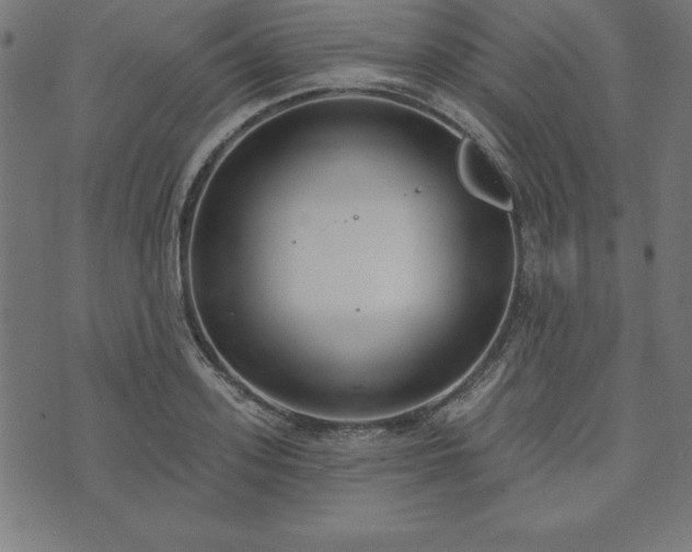 X0000073870939200608171004