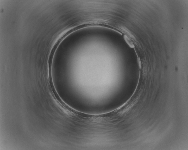 X0000073870940200608171004