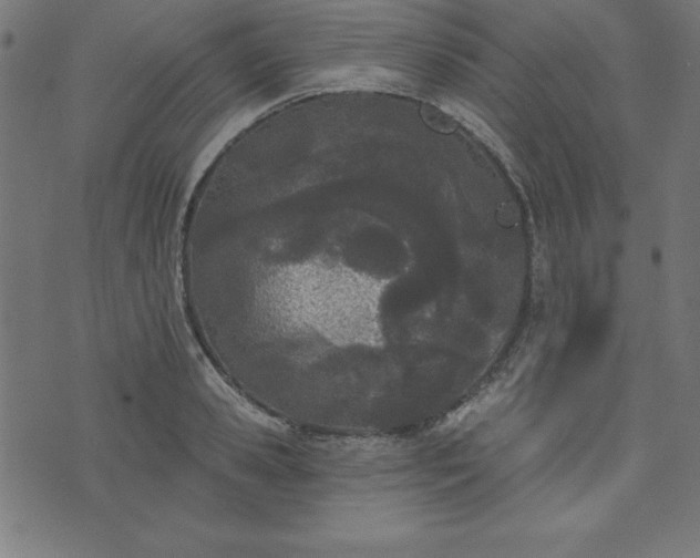 X0000073870941200608171004