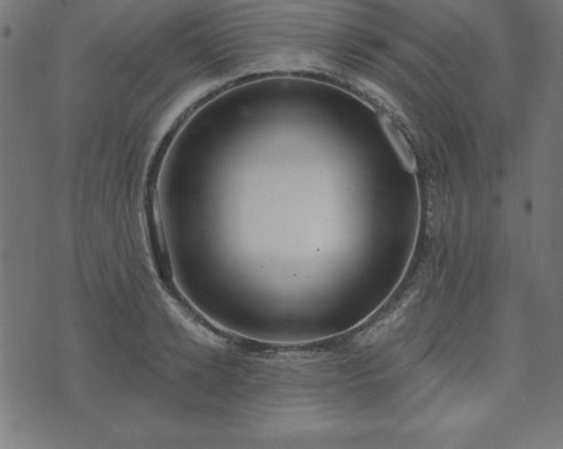 X0000073870942200608171004