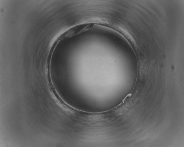 X0000073870944200608171004