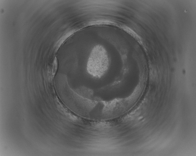 X0000073870945200608171004